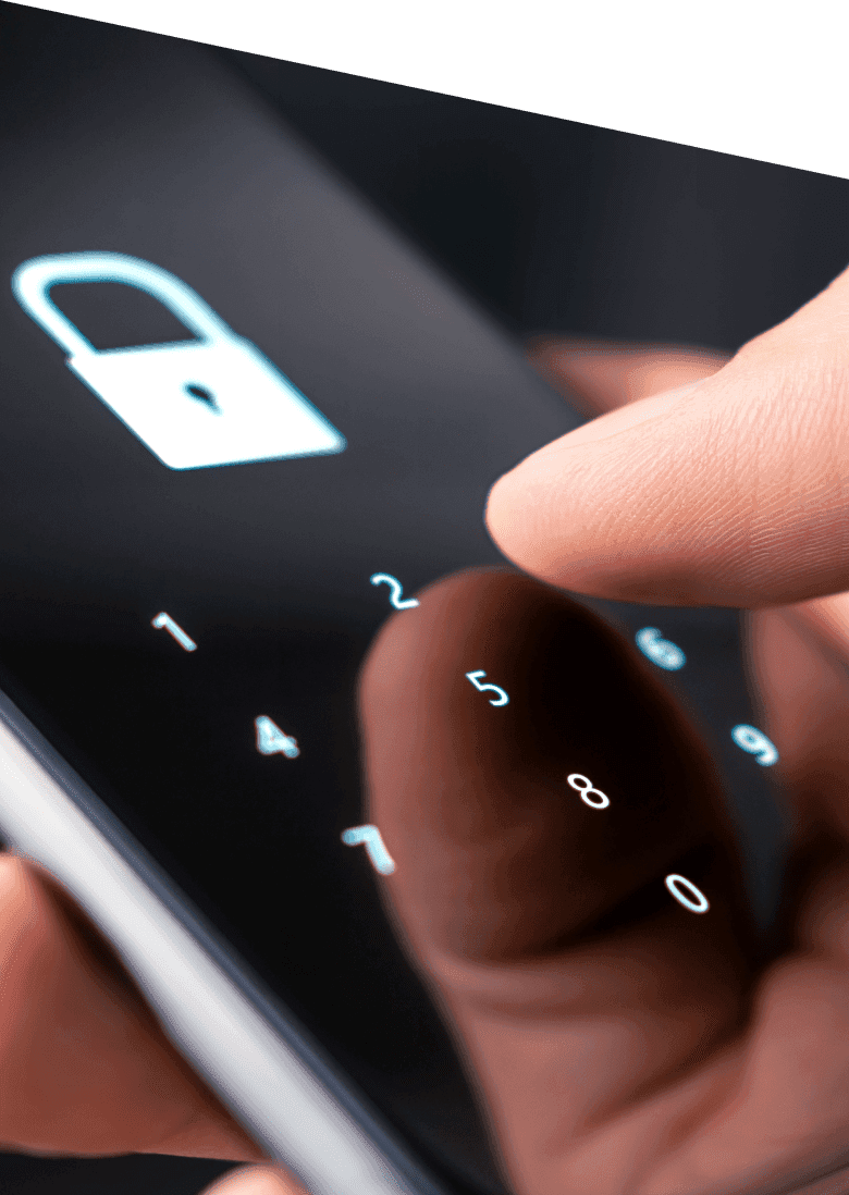 Elizabeth Donovan profile